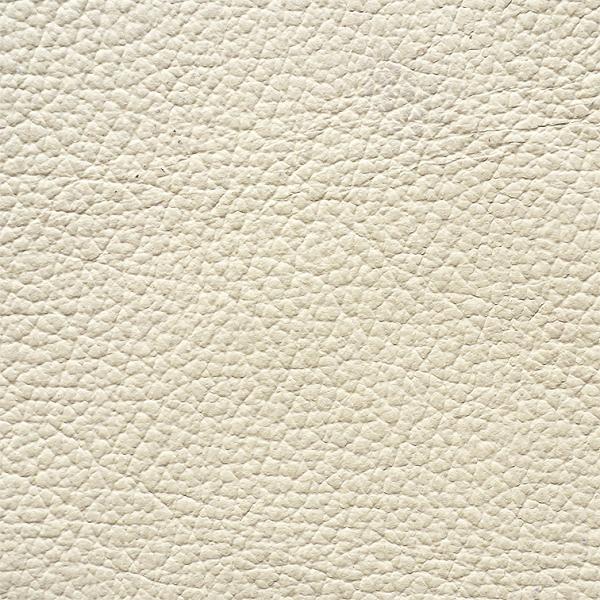 Crosta Avorio-Kifutó