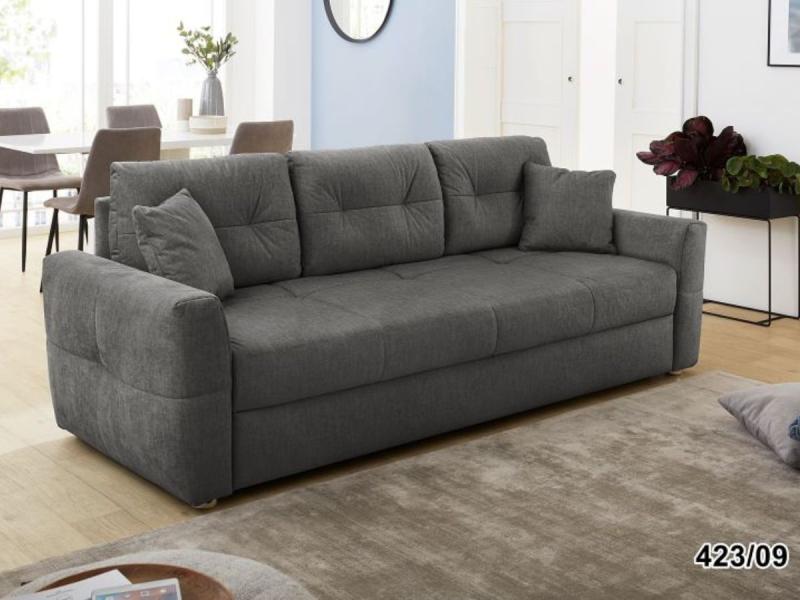 423/09-423/09-423/09