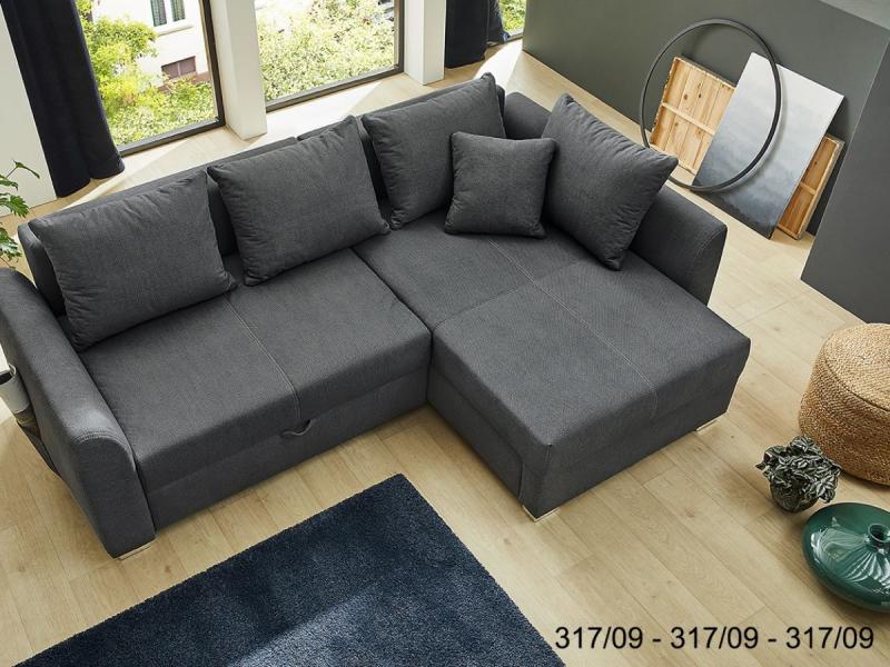 317/09-317/09-317/09